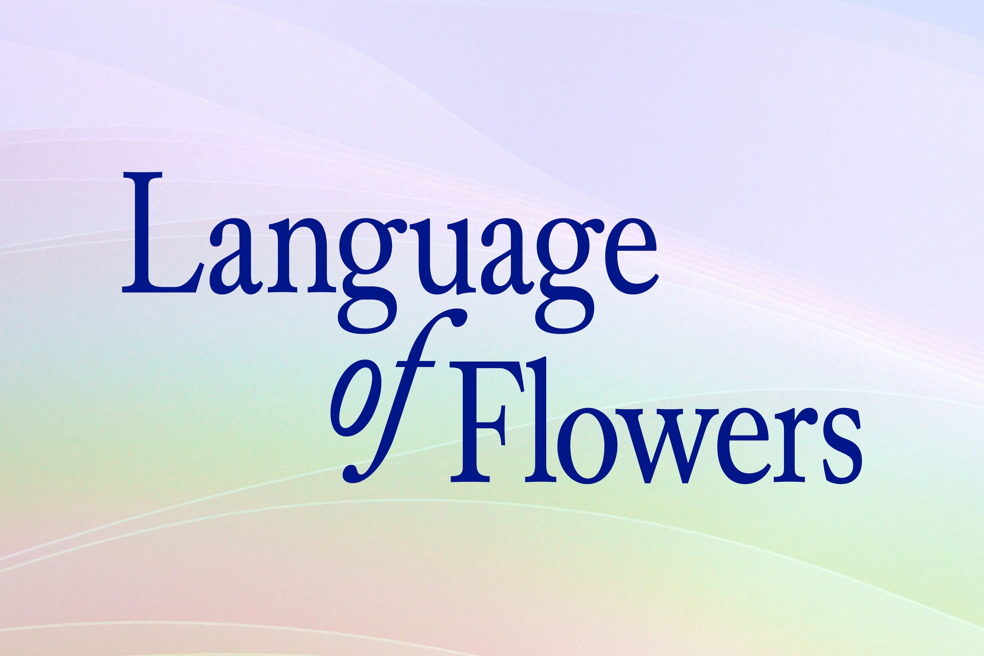 Alvito Nova Condensed